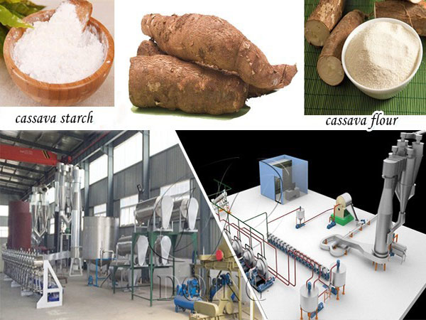 Is cassava starch and cassava flour the same?