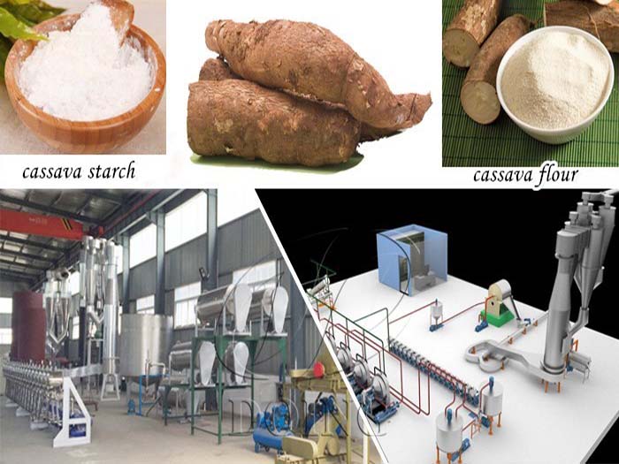 cassava starch vs cassava flour
