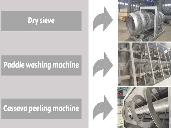 Cassava washing and peeling machine in cassava starch making process