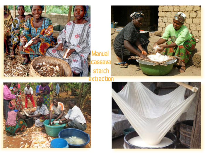cassava starch making