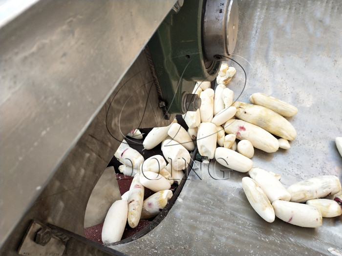 cassava peeling machine