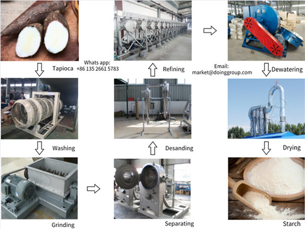 How to extract starch from tapioca?