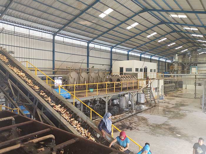 cassava starch processing plant