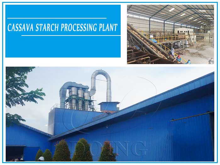 What are the requirements for cassava starch processing business?