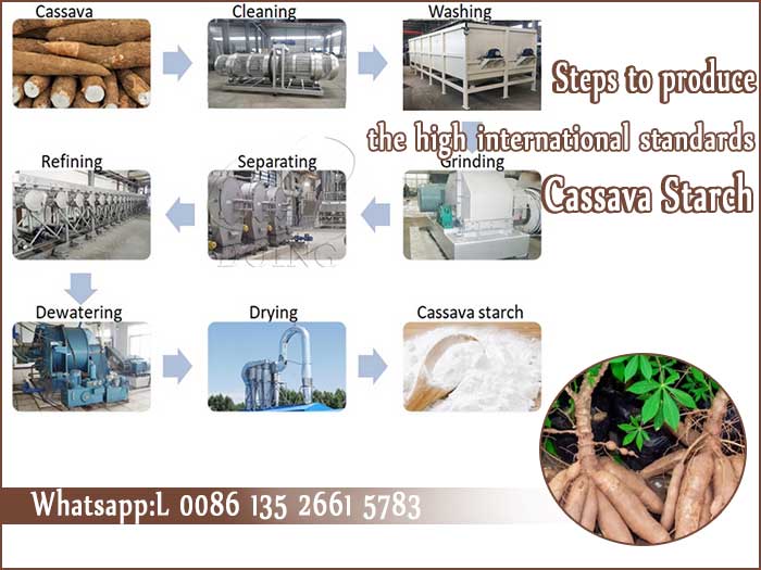 cassava starch processing steps