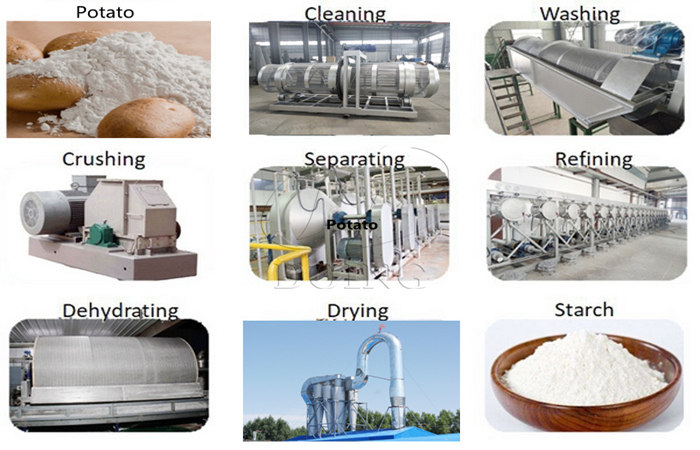potato starch production process