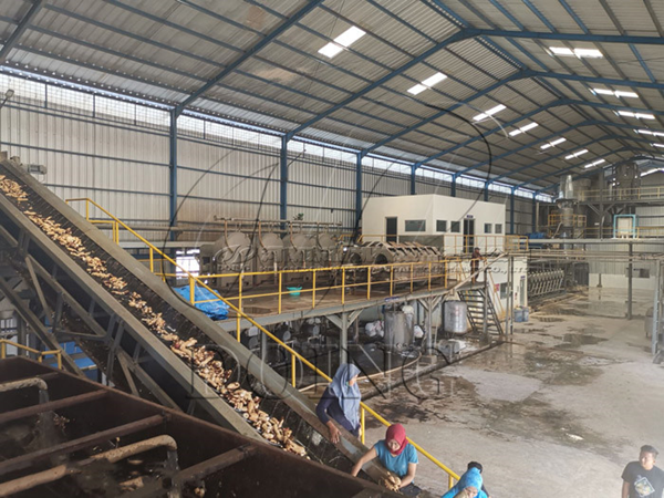 How to set up a cassava starch processing factory?