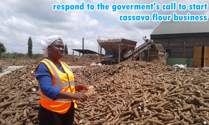cassava flour processing business