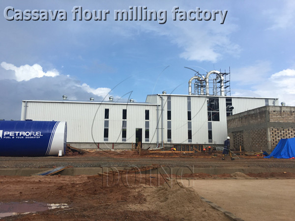 What's the preparatory work for setting up a cassava flour milling factory in Sierra Leone?