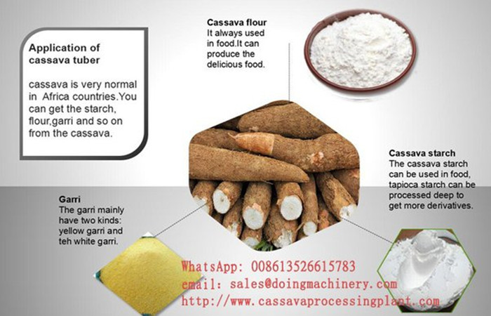 garri and cassava flour and cassava starch