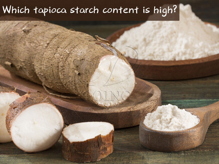 select fresh cassava in high starch