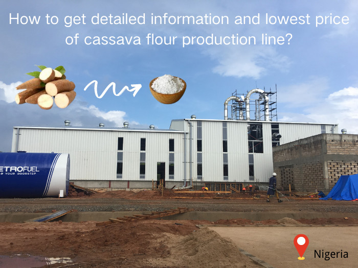 cassava flour processing plant price