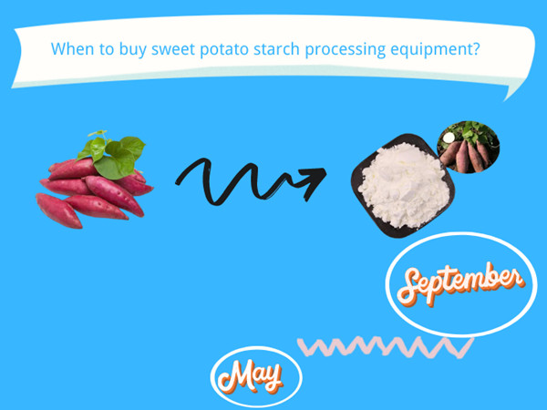 When is the best time to buy sweet potato starch processing equipment?