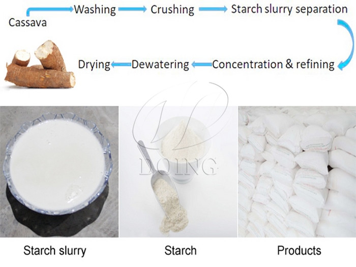 cassava starch processing process