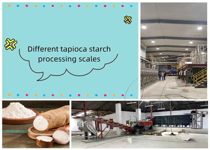scales of tapioca starch processing plant