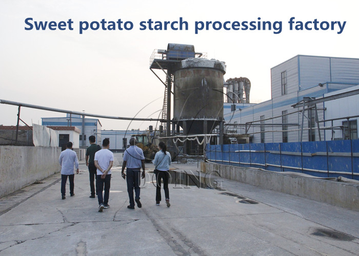 sweet potato starch processing factory