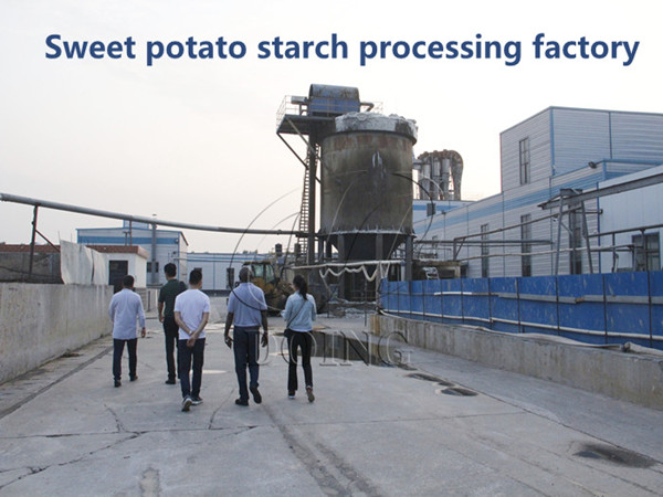 4 points that need attention in the sweet potato starch processing industry
