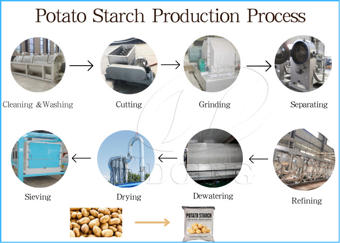 potato starch processing plant