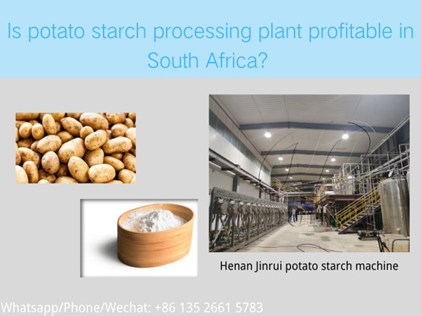 Is potato starch processing plant profitable in South Africa? Where to buy complete potato starch production line?