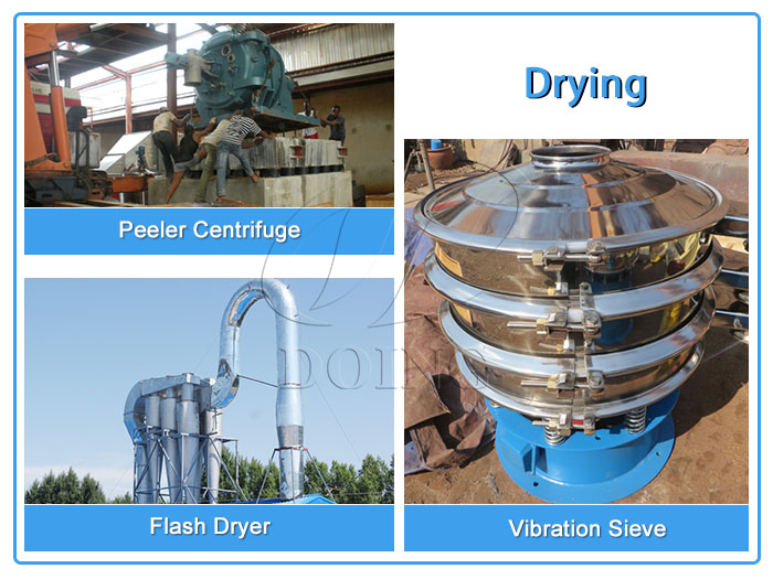 Potato starch manufacturing dewatering and drying