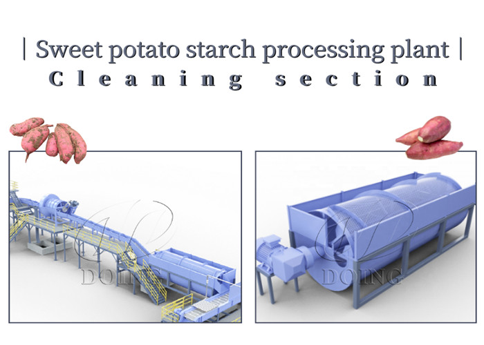 Sweet potato starch extraction machines cleaning machines
