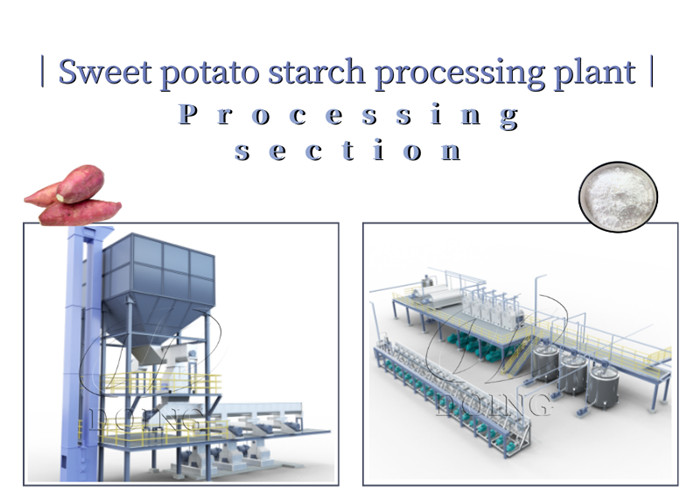 Sweet potato starch extraction machines separating machines