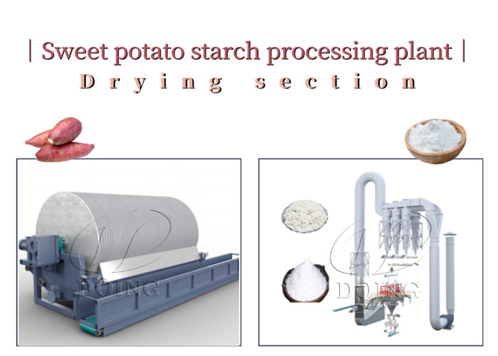 Sweet potato starch extraction machines drying machines