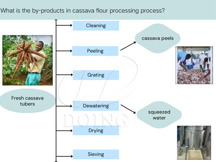 cassava flour processing