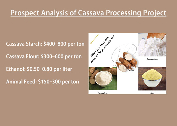 financial viability of cassava processing project