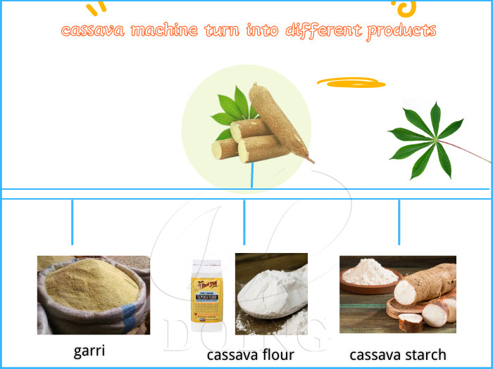 cassava processing business