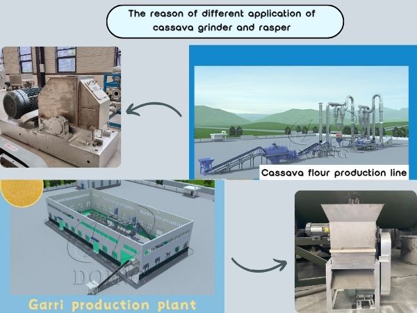 Why use a cassava grinder in garri production but a rasper in cassava powder production？