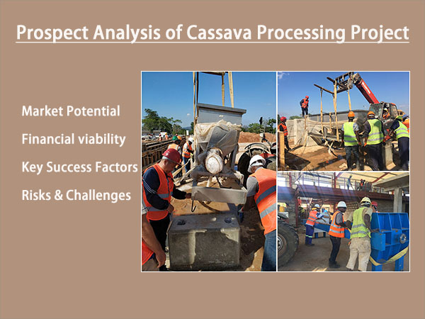 Prospect Analysis of Cassava Processing Project Investment