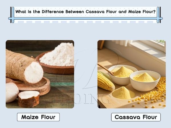 What Is the Difference Between Cassava Flour and Maize Flour?