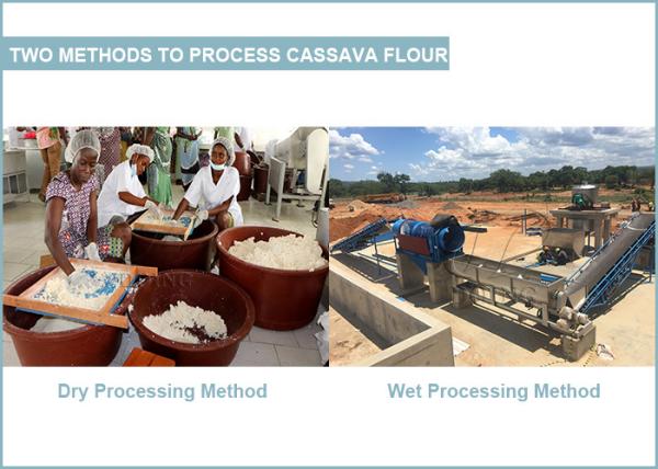 Unlocking the Distinctions: Dry and Wet Methods for Cassava Flour Production