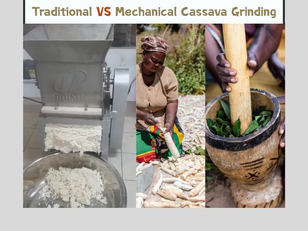 Traditional vs. Mechanical Cassava Grinding: Why Cassava Grinders Become the Top Selection?