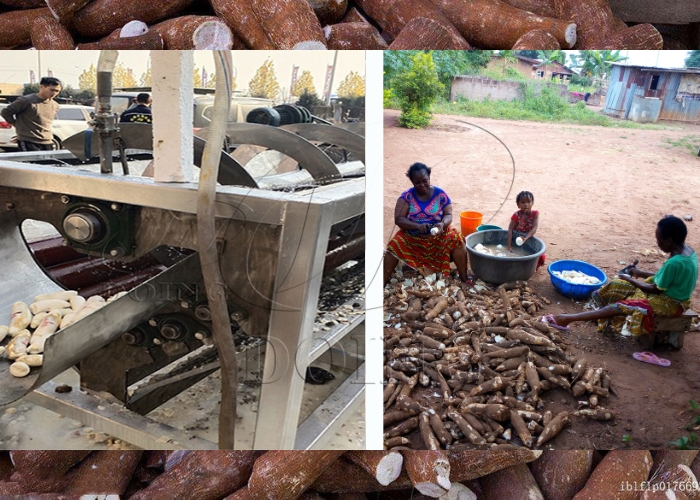 cassava peeling