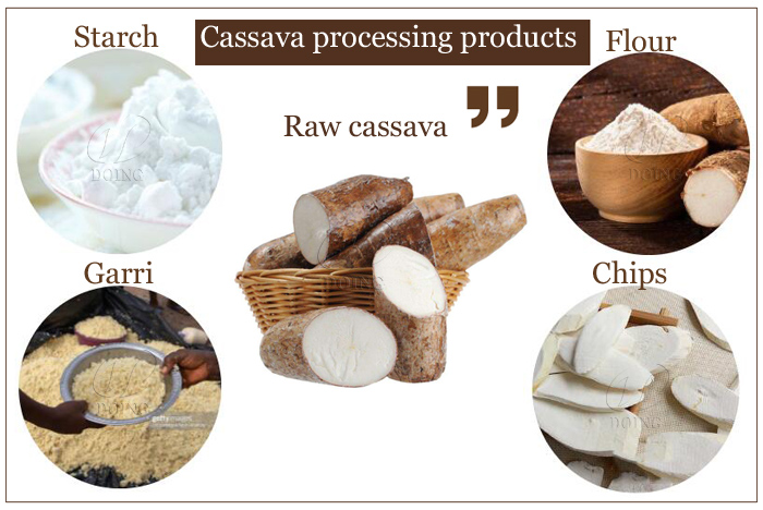 cassava processing business