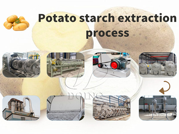Large-Scale Potato Starch Production: Recommended Equipment for Wet Process Technology