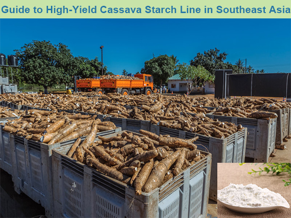 A Guide to High-Yield Cassava Starch Processing Line & Key Equipment in Southeast Asia for Maximizing Profit