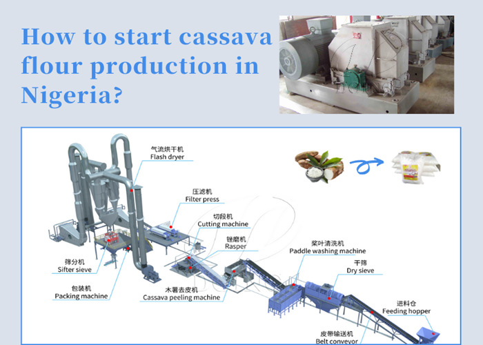 cassava flour processing plant