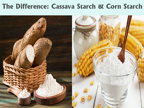 What is the difference between cassava starch and corn starch?