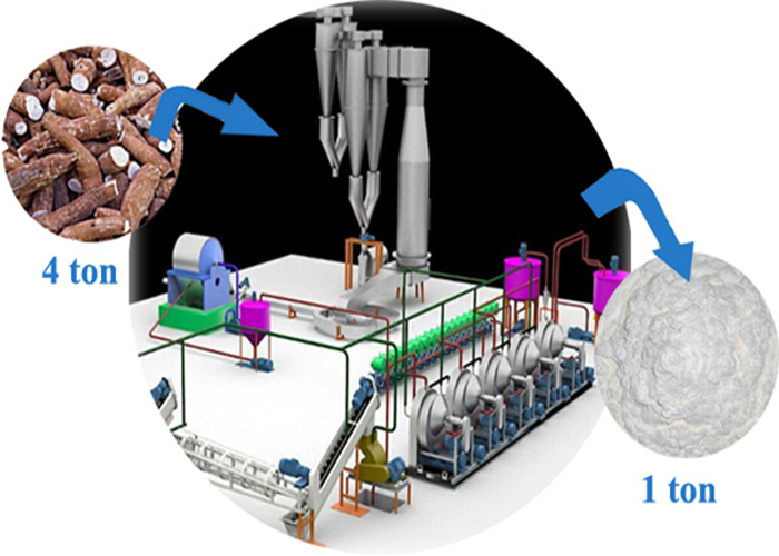 cassava starch extraction rate