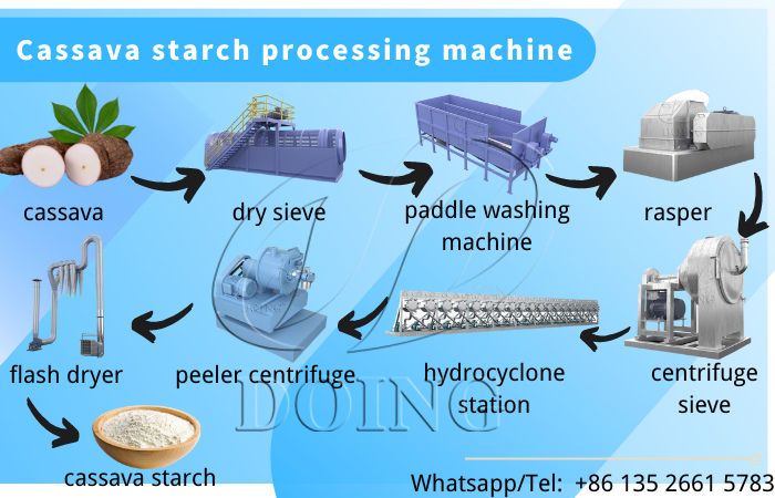 cassava starch processing