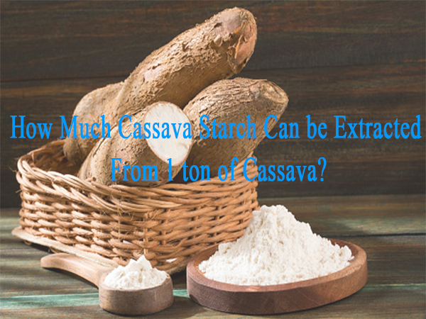 How Much Cassava Starch Can be Extracted From 1 ton of Cassava?