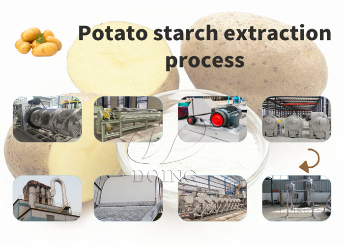 potato starch processing plant
