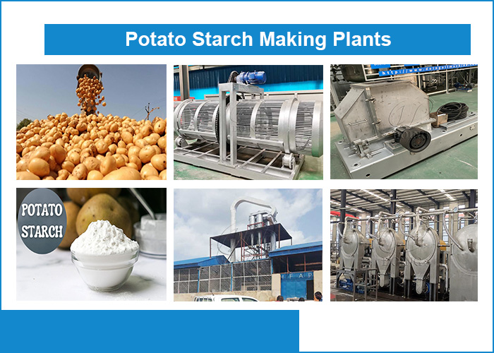 potato starch processing equipment