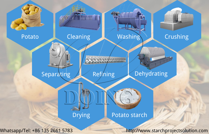 Potato starch production process