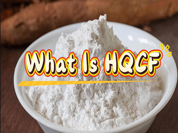 The 5 Quality Indicators Every Cassava Flour Buyer Should Know