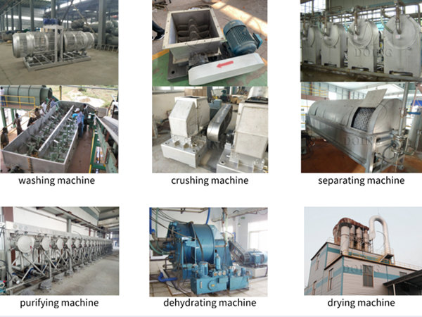 How cassava is processed into starch?