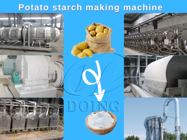 What are the main factors that determine the price of potato starch processing equipment？